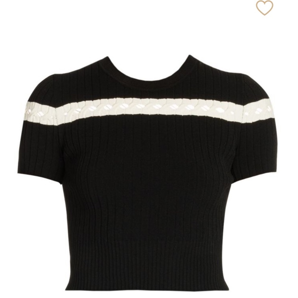 Alexander McQueen Crop Top
